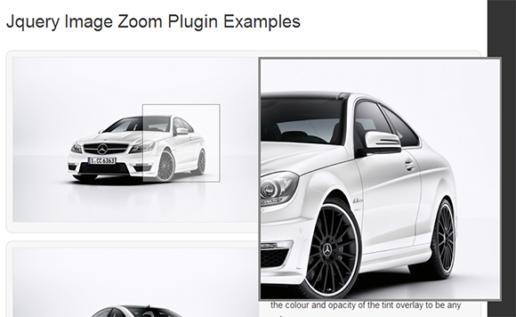 Image-Zoom-Plugin