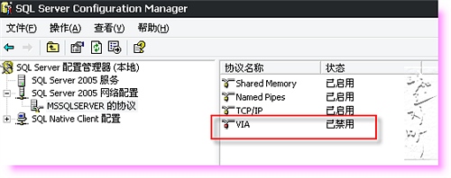 查看更多精彩图片